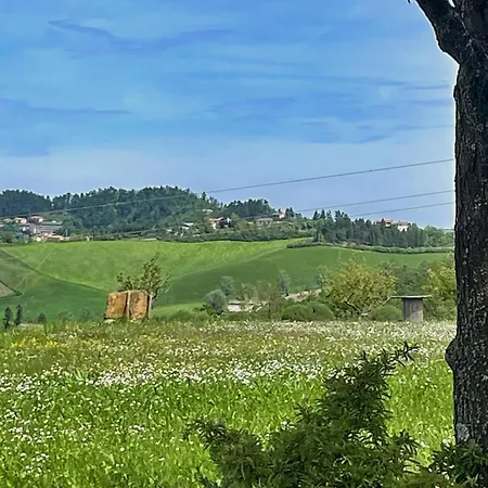 1 Bedroom In Loiano